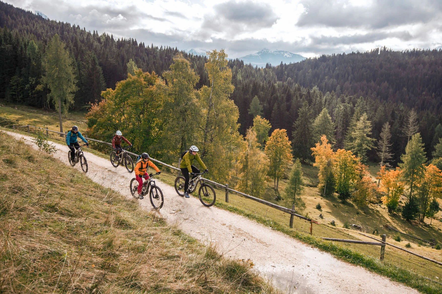 Vier Radfahrer fahren auf einem Waldweg bergauf im Herbst