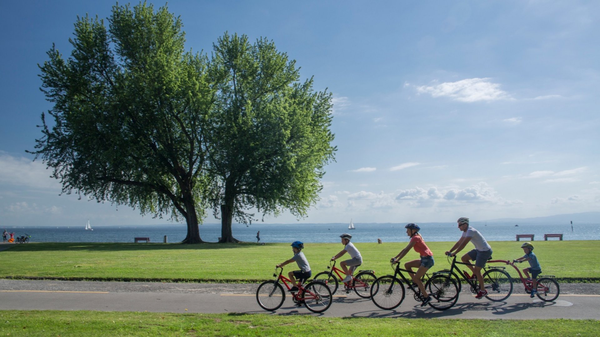 Family riding bicycles on a path by the lake on a sunny day