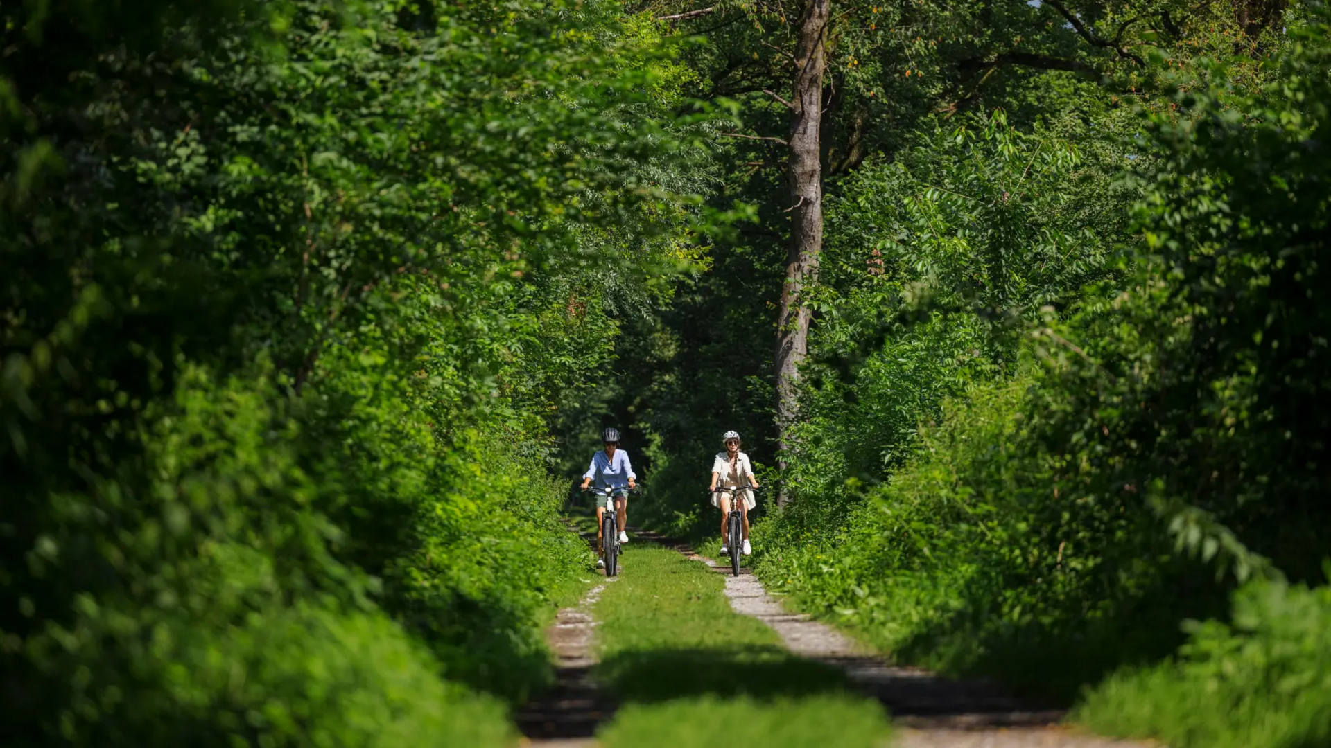 Two cyclists riding on a green forest trail