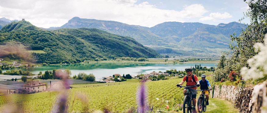 Kulinarisch unterwegs in Tramin © IDM Südtirol - Manuel Ferrigato Zwei Radfahrer fahren durch eine grüne Landschaft mit Bergen und See im Hintergrund