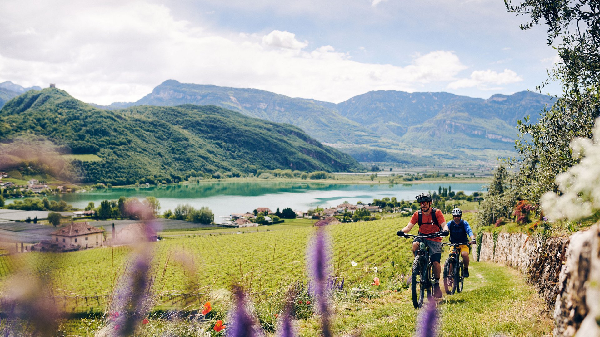 Two cyclists biking through a green landscape with mountains and lake in background