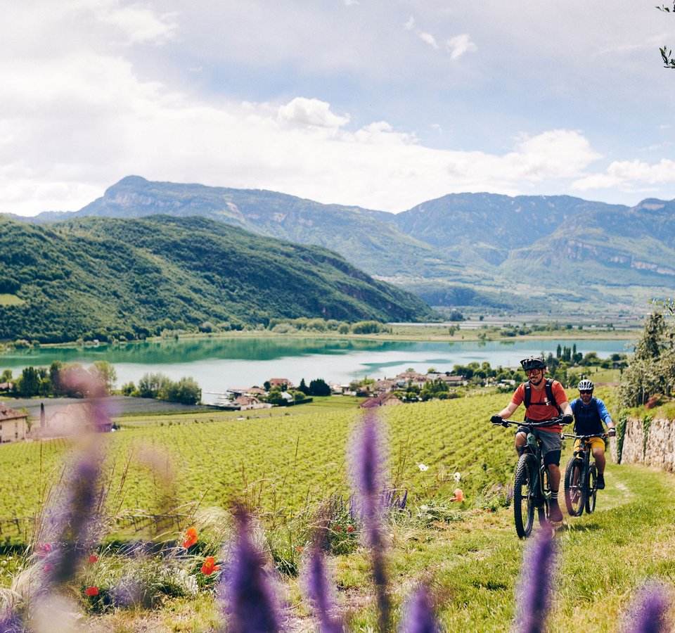 Zwei Radfahrer fahren durch eine grüne Landschaft mit Bergen und See im Hintergrund