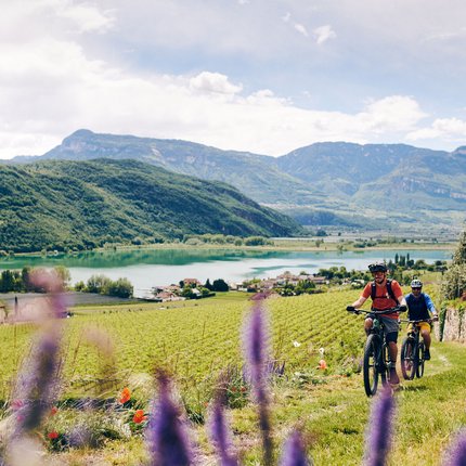 Frühlings-Rad-Erwachen in Tramin © IDM Südtirol - Manuel Ferrigato Zwei Radfahrer fahren durch eine grüne Landschaft mit Bergen und See im Hintergrund