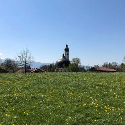 Green meadow with yellow flowers and church in background under clear blue sky