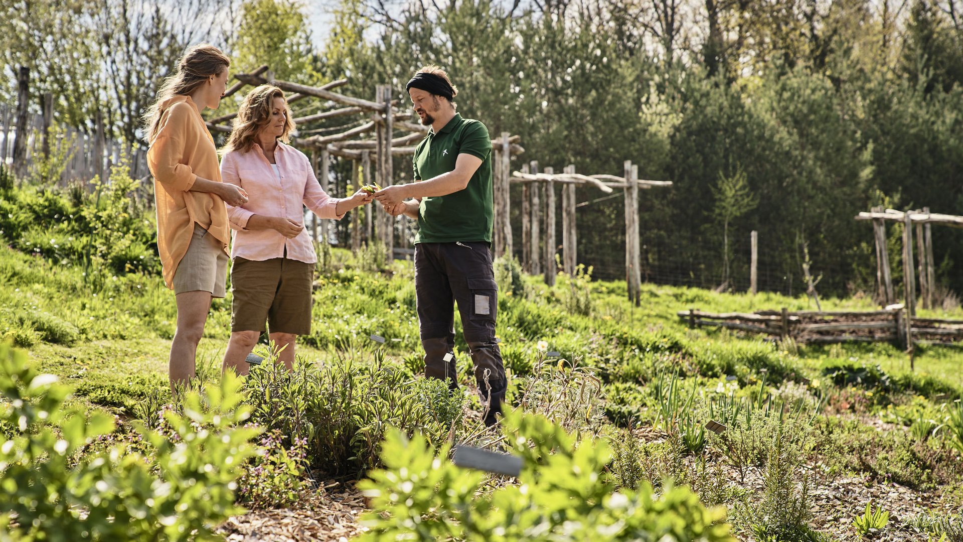 Three people examining plants in a sunny garden