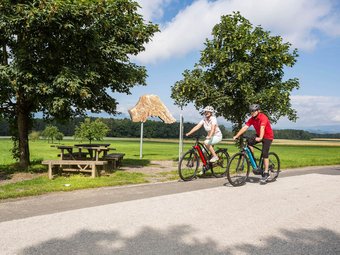 Two cyclists riding on country road near picnic tables and tree sculpture