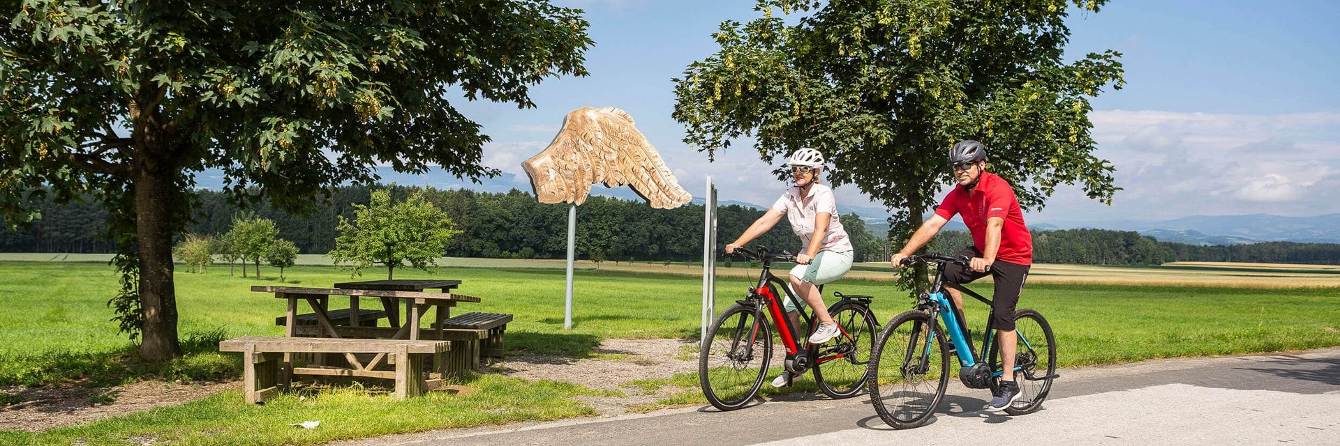 Two cyclists riding on country road near picnic tables and tree sculpture
