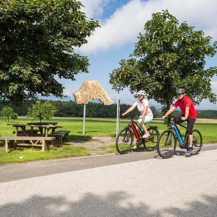 Twee fietsers op landweg naast picknicktafels en boomsculptuur