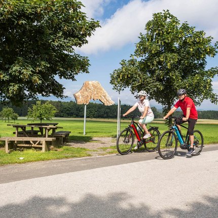 Two cyclists riding on country road near picnic tables and tree sculpture