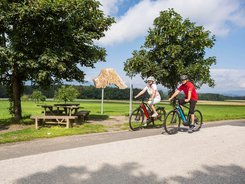 Two cyclists riding on country road near picnic tables and tree sculpture