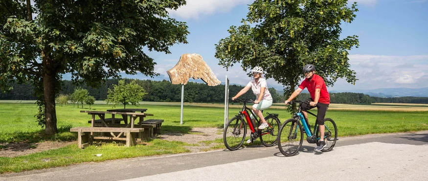 Zwei Radfahrer auf dem Landweg neben Picknicktischen und Baumskulptur