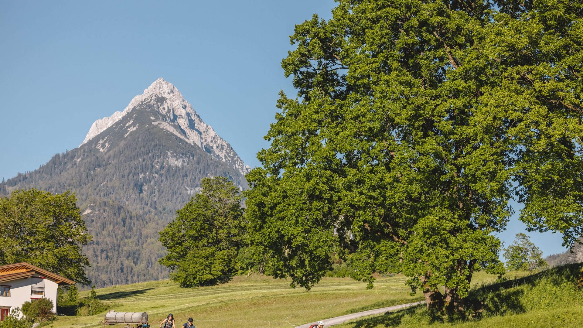 Three cyclists riding on a path in green landscape with mountain backdrop