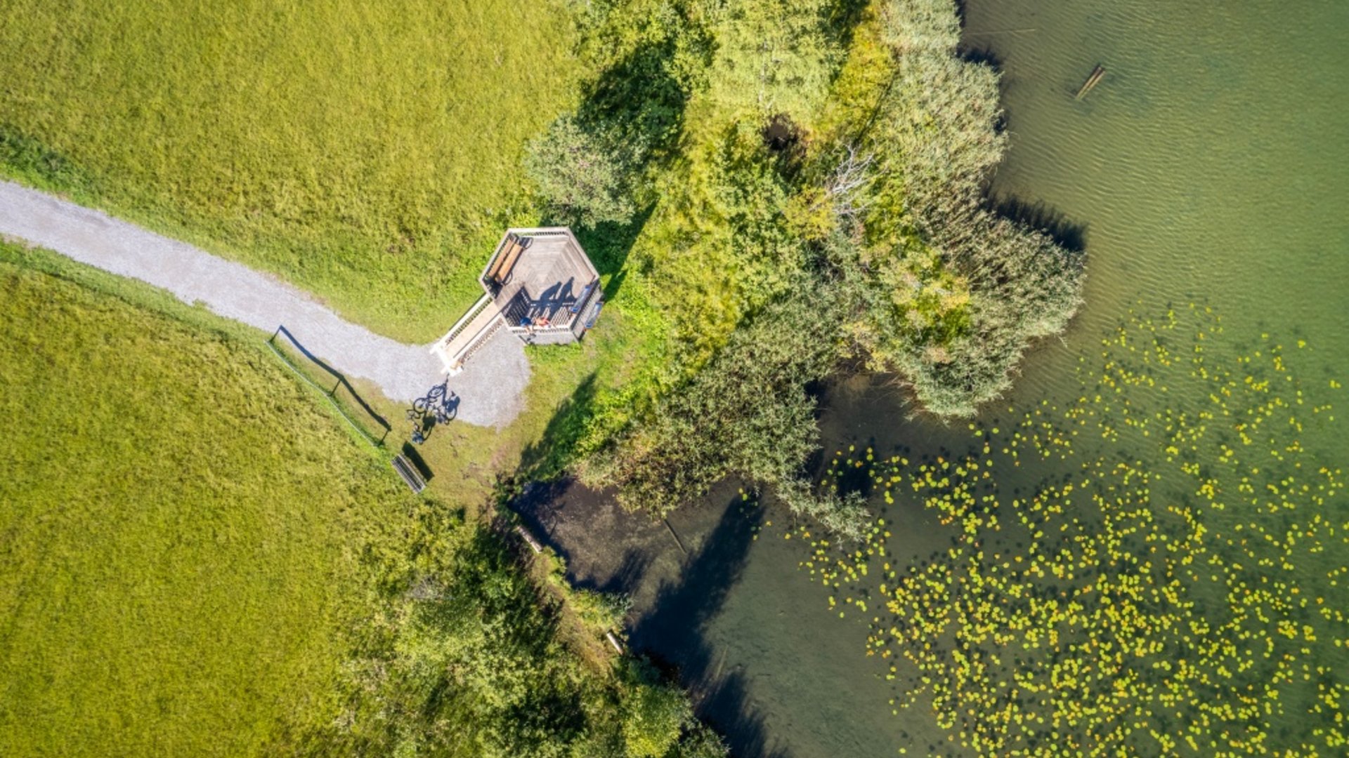 Aerial view of lookout point with bicycle near lake and green grass