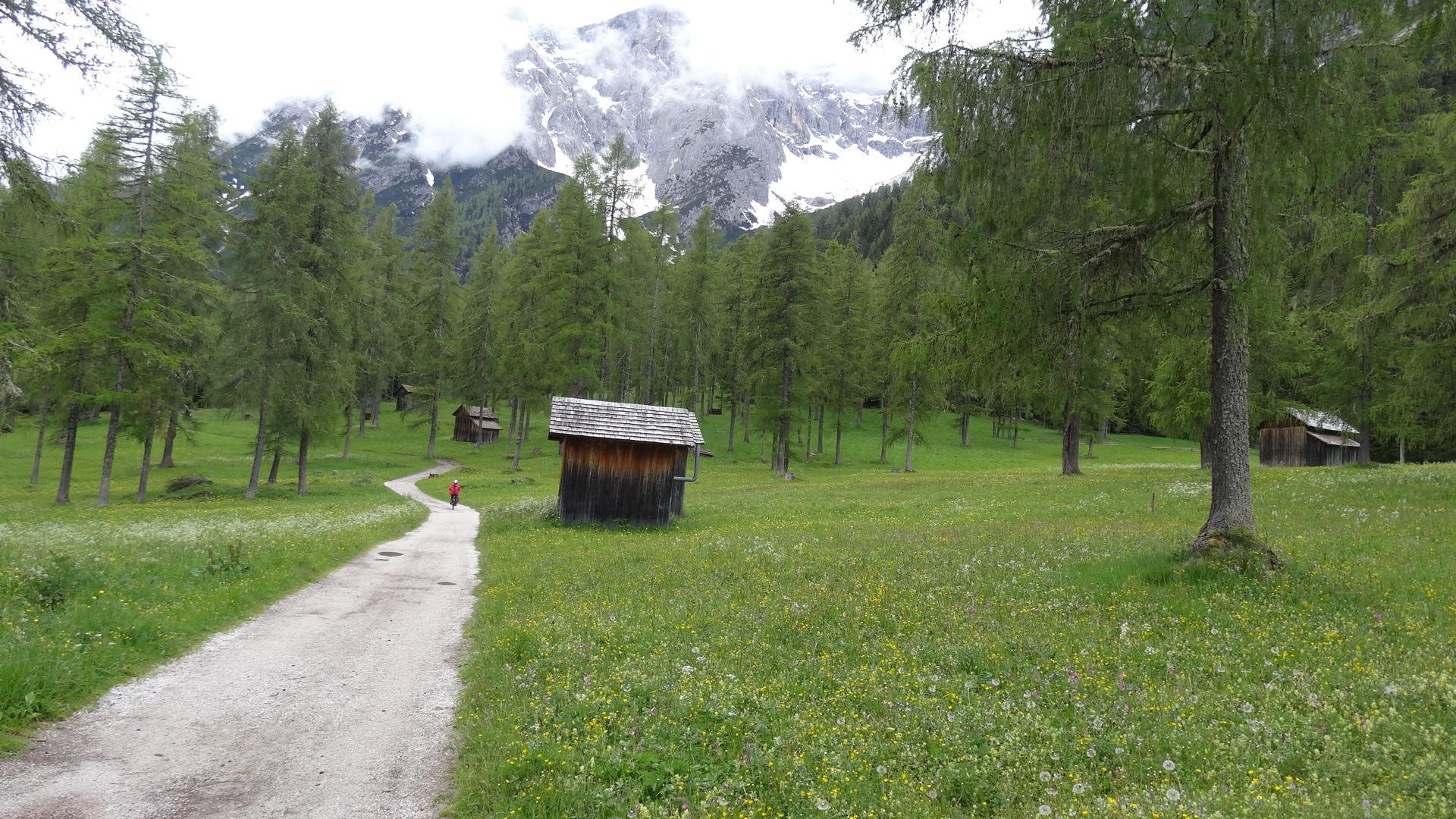 Hiking trail through flowering meadow with wooden huts and mountains in the background