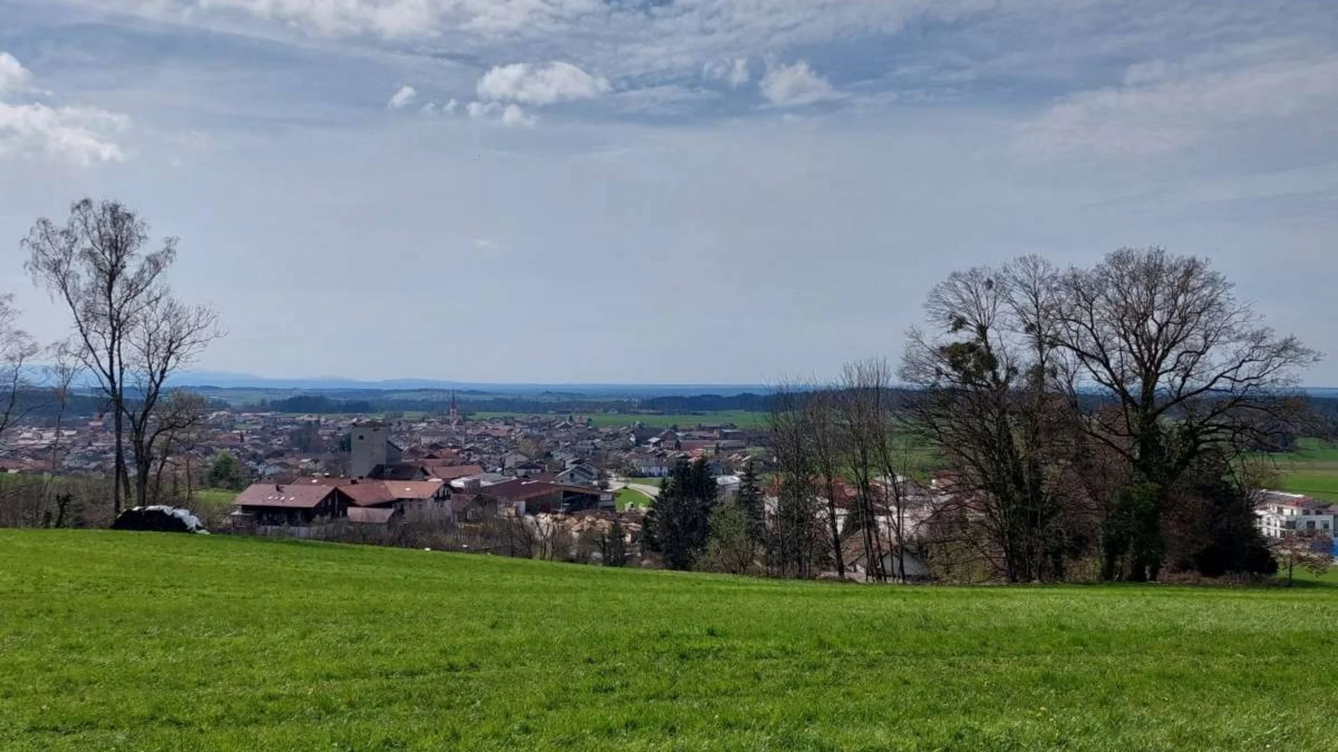 Grüne Wiese mit Bäumen und Blick auf eine Stadt unter einem bewölkten Himmel