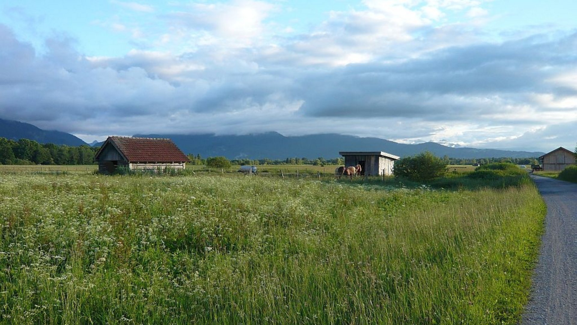 Rural landscape with meadows, barns, horses, and mountains in the background