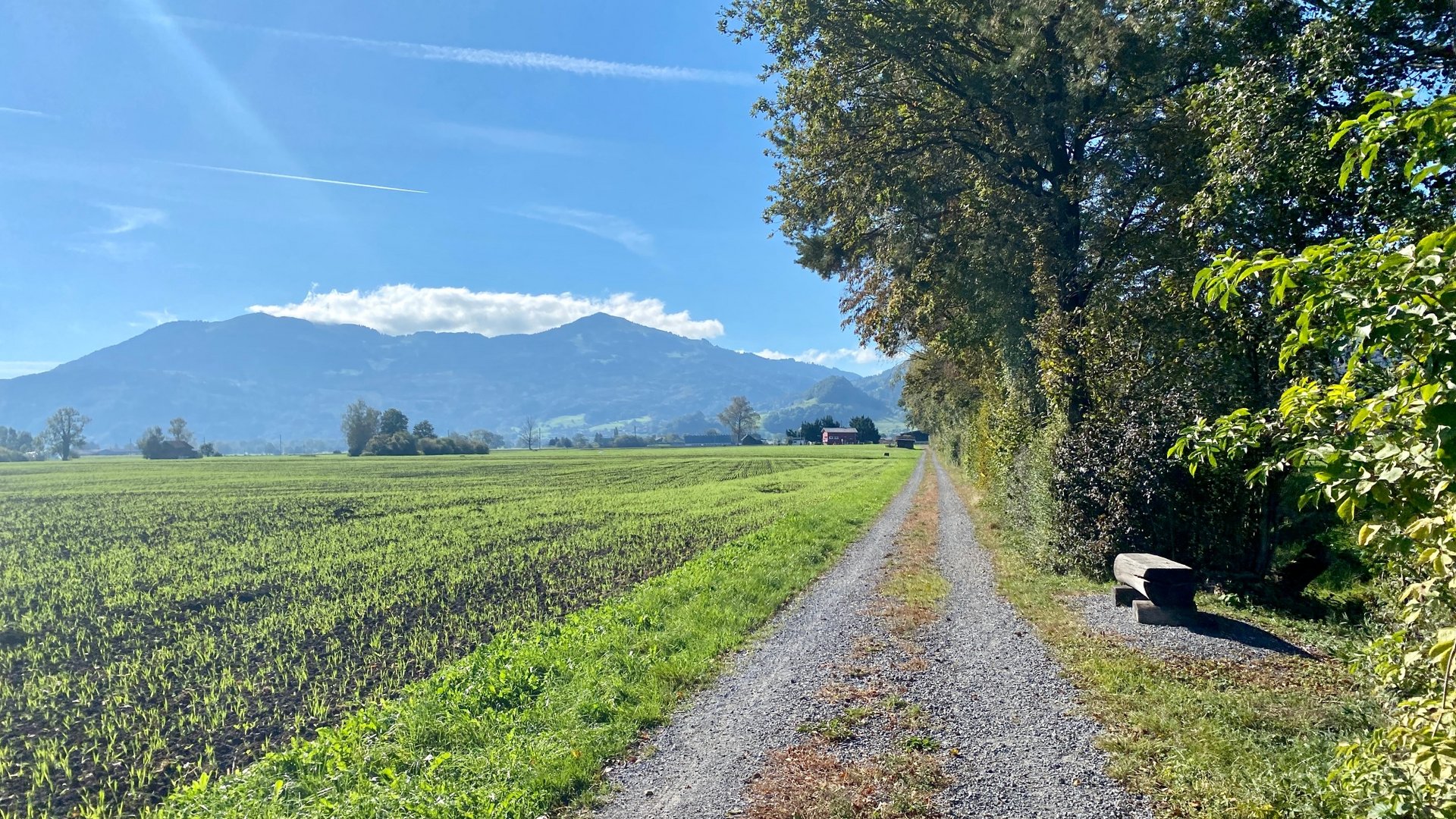 Gravel path by green fields with mountain view and bench under trees