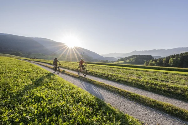 Twee fietsers op een bospad met bergen en ondergaande zon op de achtergrond