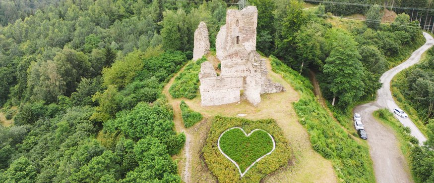 Ruins on a hill with heart-shaped bushes surrounded by forest