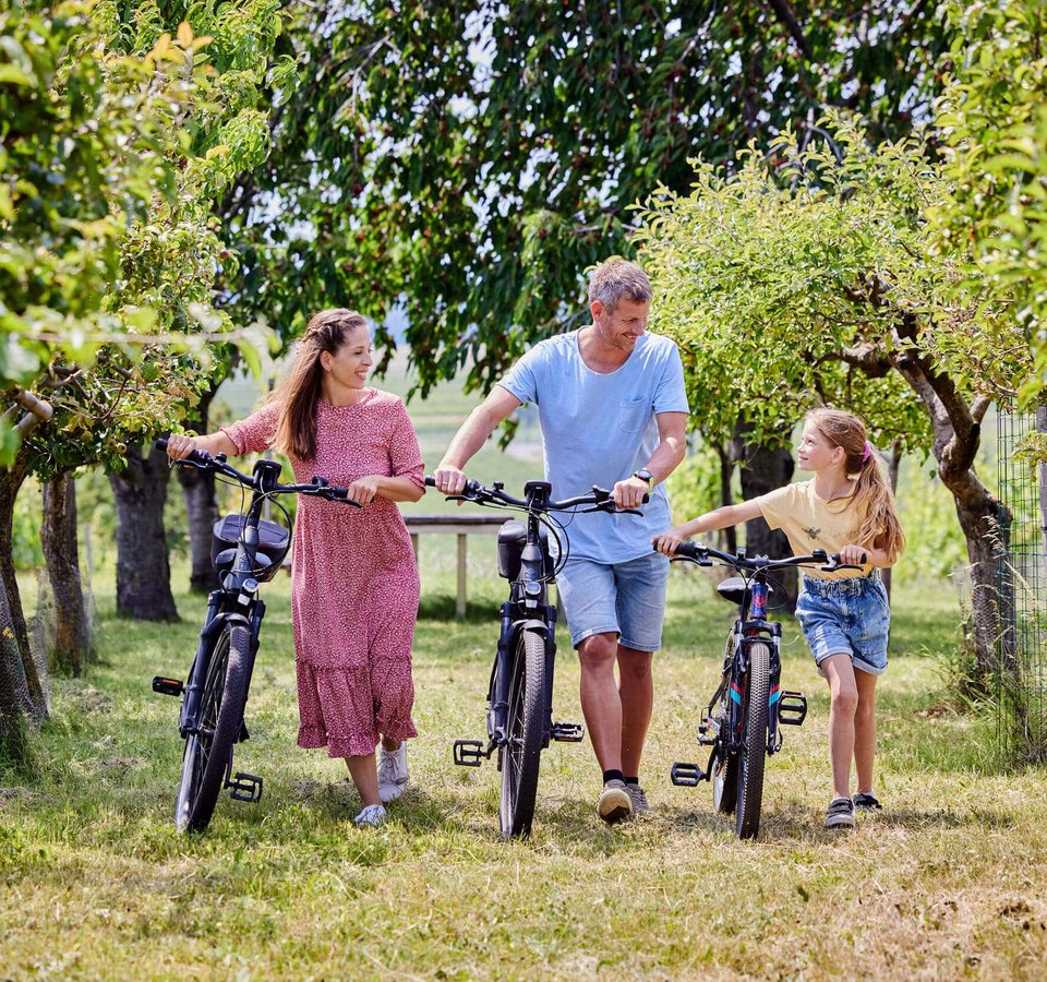 Familie mit Fahrrädern spaziert durch einen Baumgarten