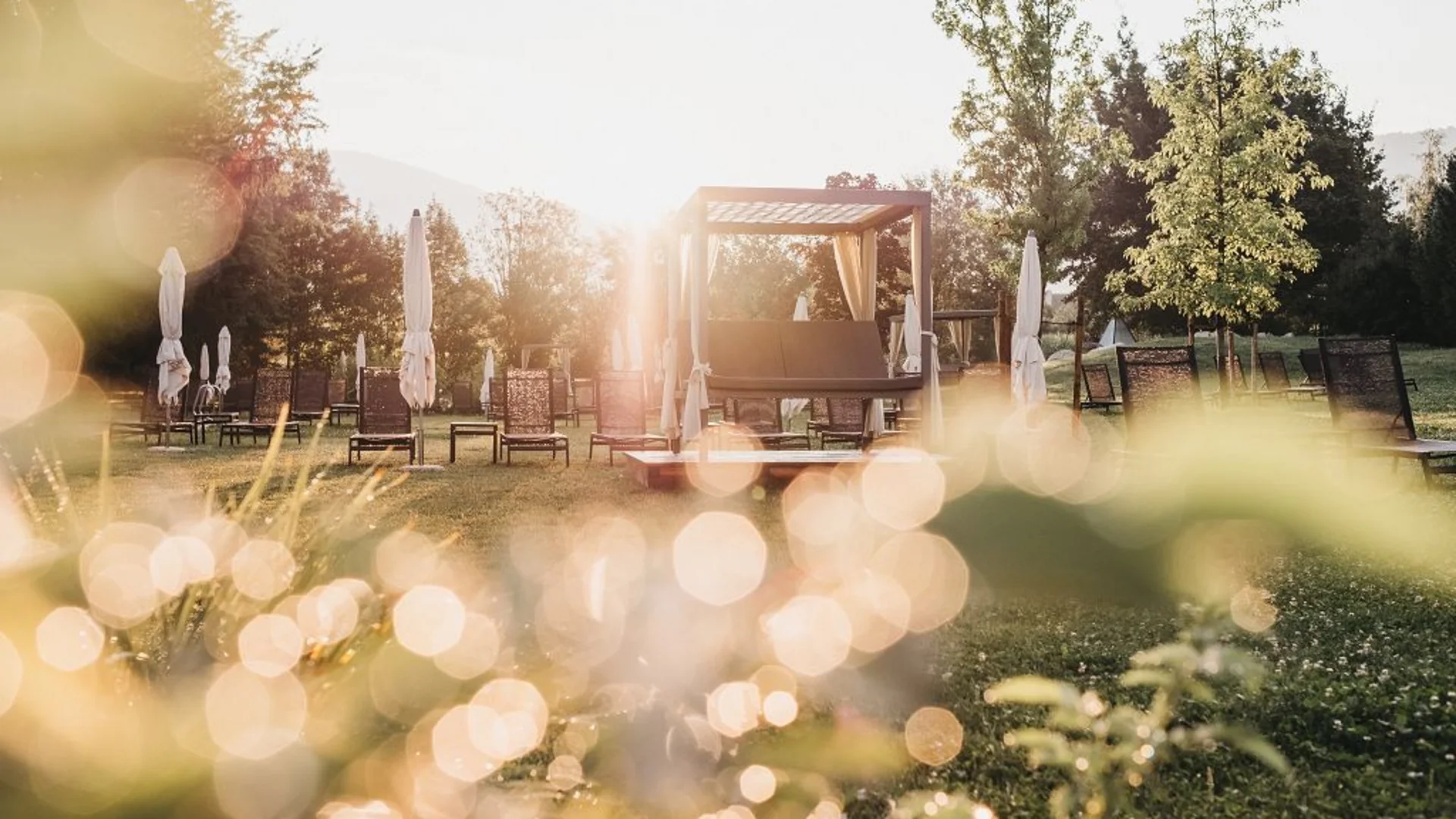Garten mit Liegestühlen und Sonnenschirmen bei Sonnenaufgang