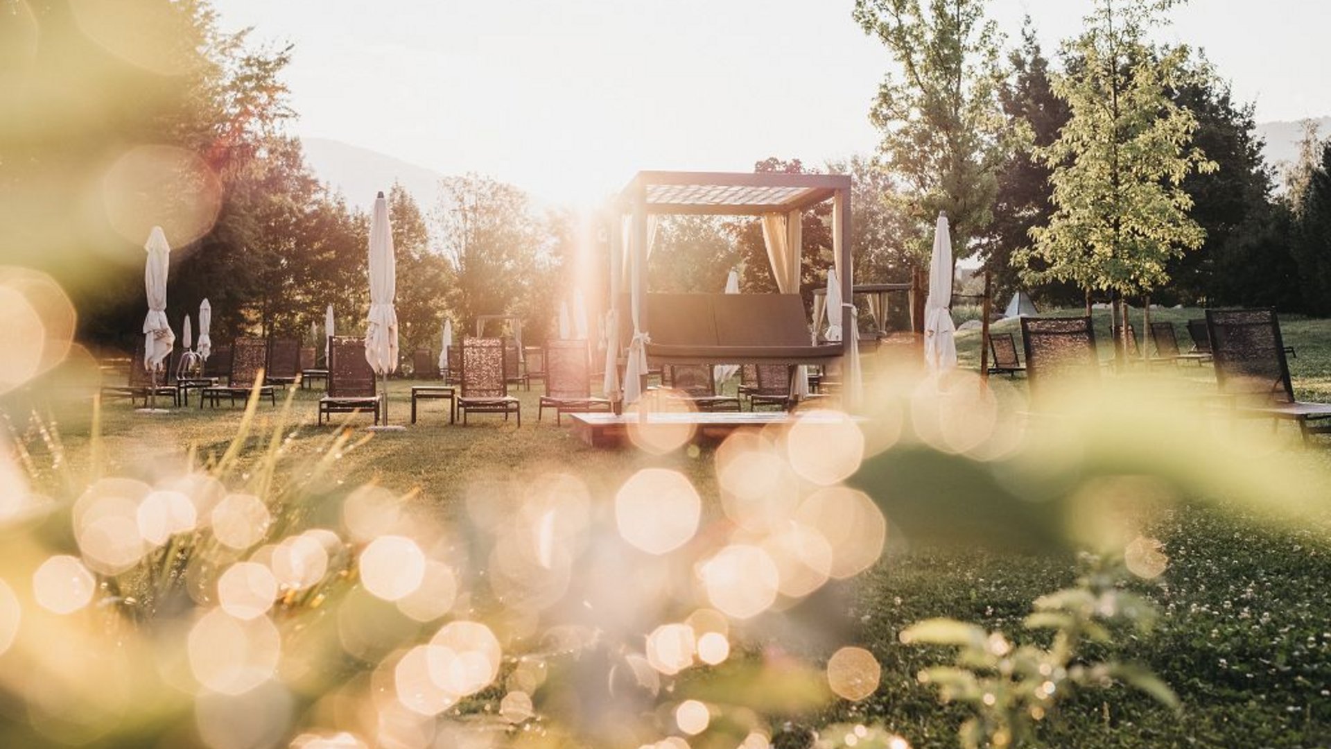 Garden with lounge chairs and umbrellas at sunrise