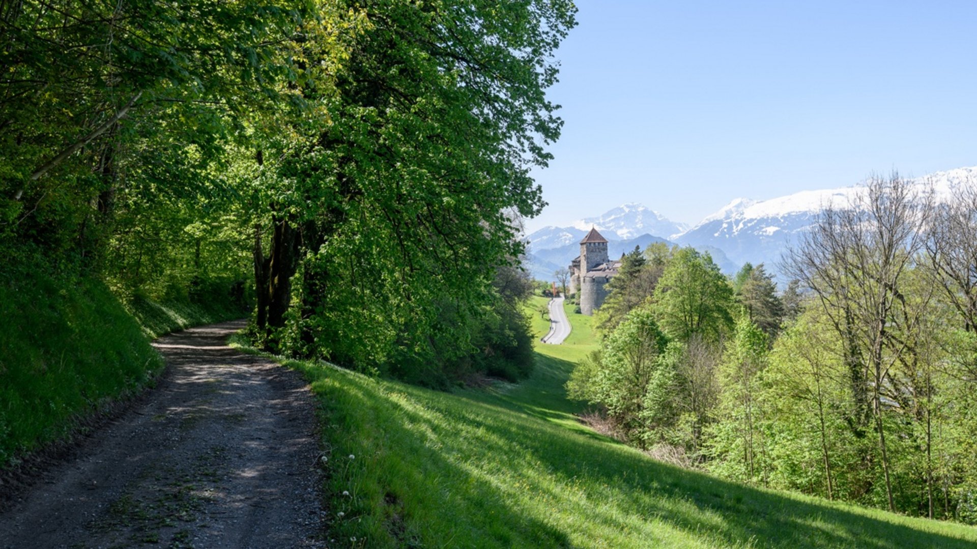 Path through green landscape with castle and snow-capped mountains in background