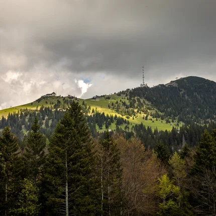 Bos voor een beboste berg met zender en gebouwen onder bewolkte lucht