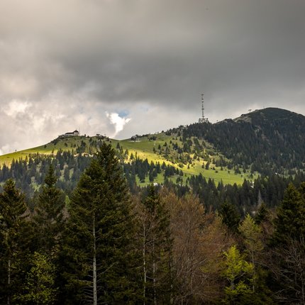 Forest in front of a forested mountain with transmitter and buildings under cloudy sky