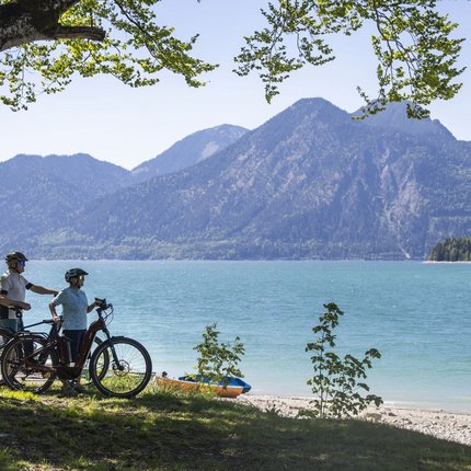 Two cyclists stand under a tree by the lake with mountain views