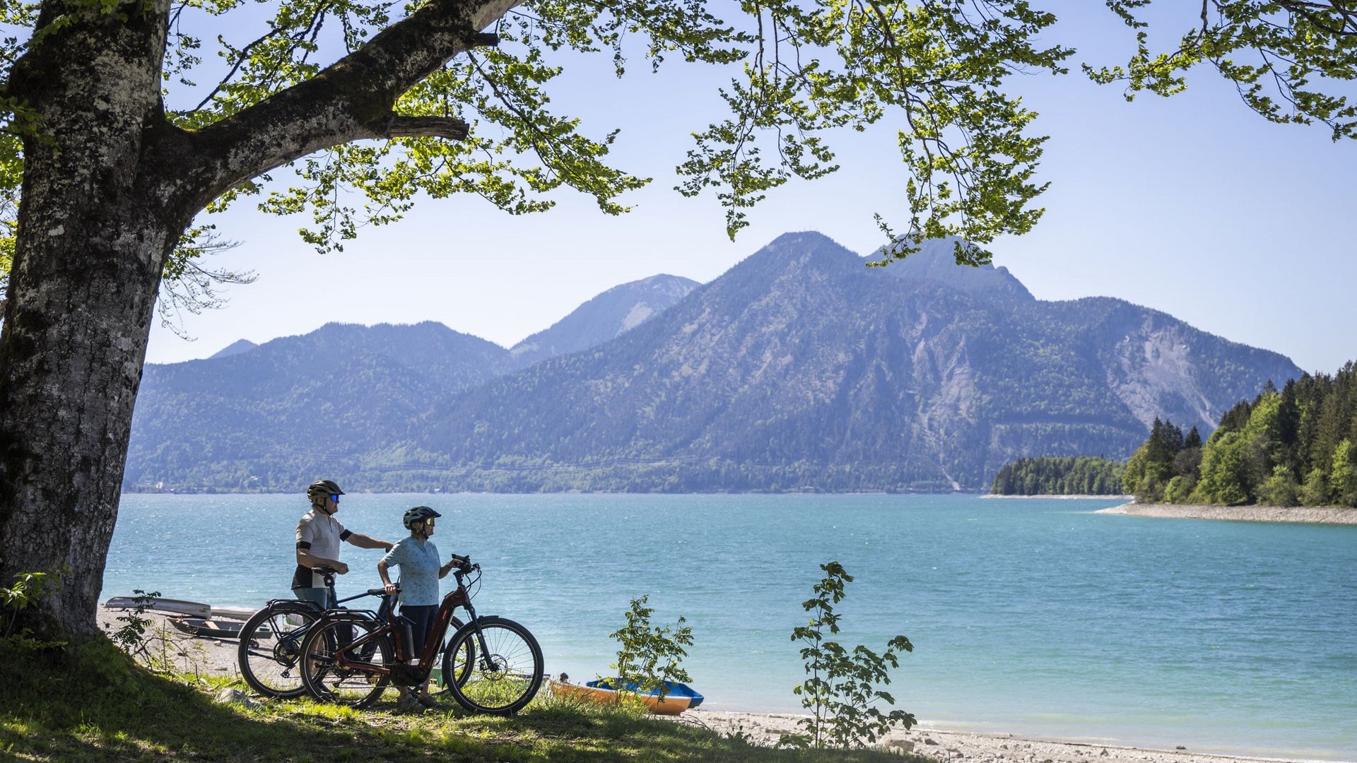 Two cyclists stand under a tree by the lake with mountain views