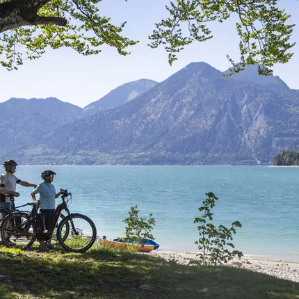 Twee fietsers staan onder een boom aan het meer met uitzicht op bergen