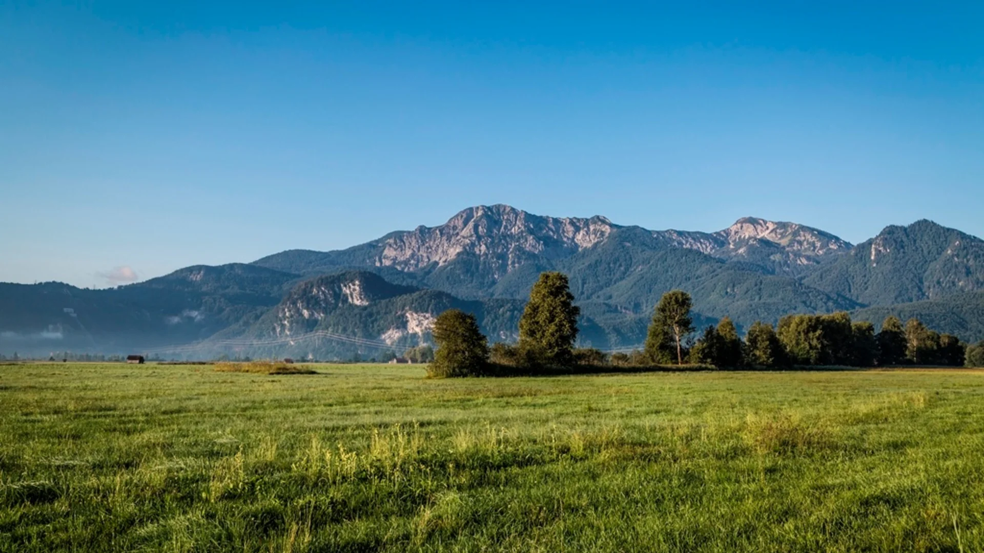 Grüne Wiese mit Bäumen vor bewaldeten Bergen unter blauem Himmel