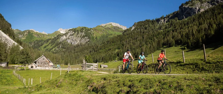 Drei Radfahrer fahren auf Bergweg mit Alpenhütten und Wald im Hintergrund