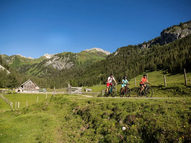 Drei Radfahrer fahren auf Bergweg mit Alpenhütten und Wald im Hintergrund