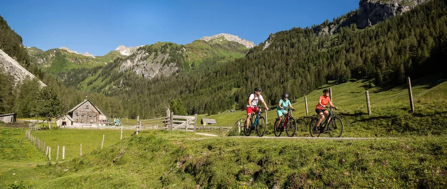 Drei Radfahrer fahren auf Bergweg mit Alpenhütten und Wald im Hintergrund