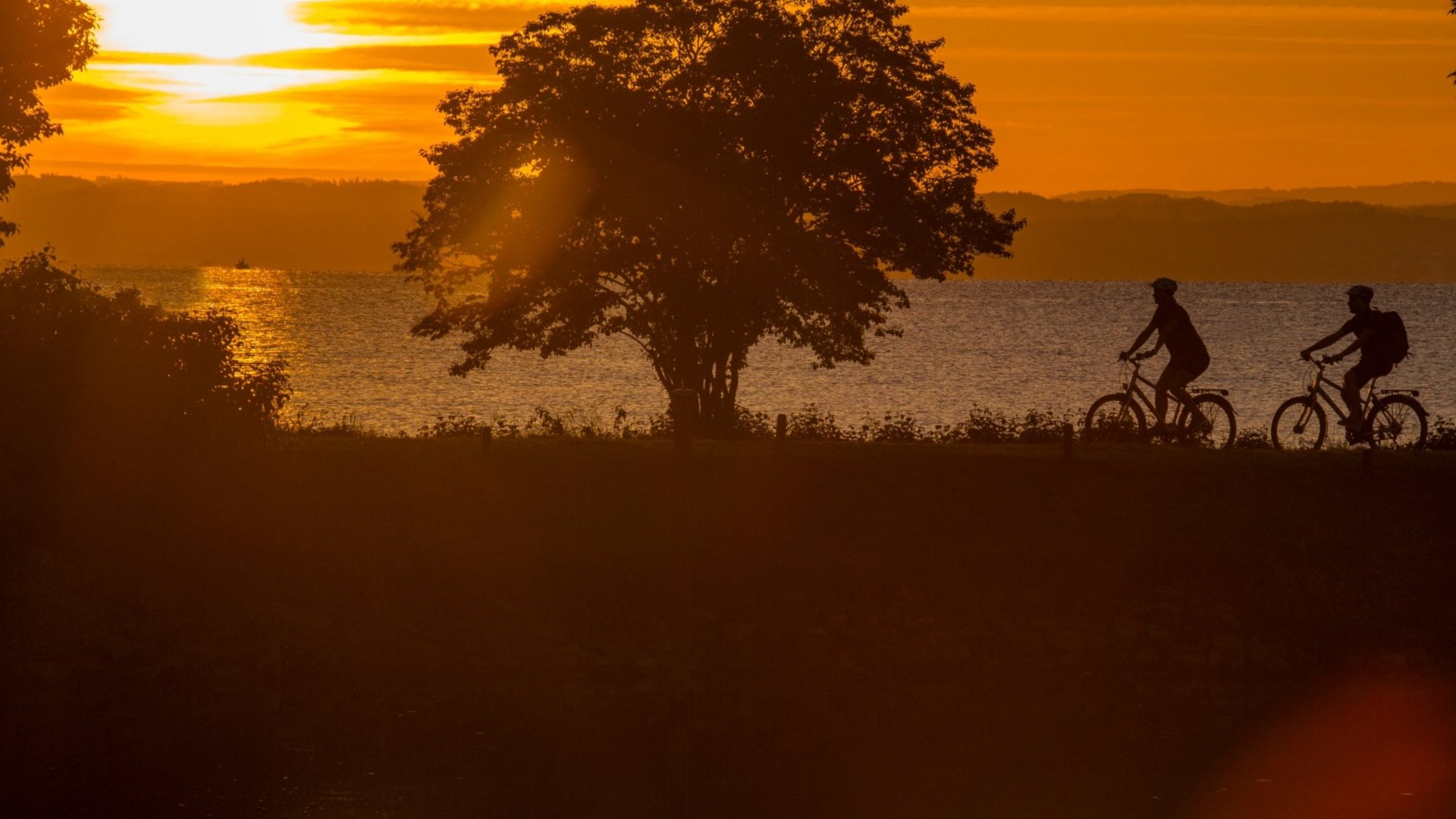 Two cyclists by the lake at sunset next to a tree