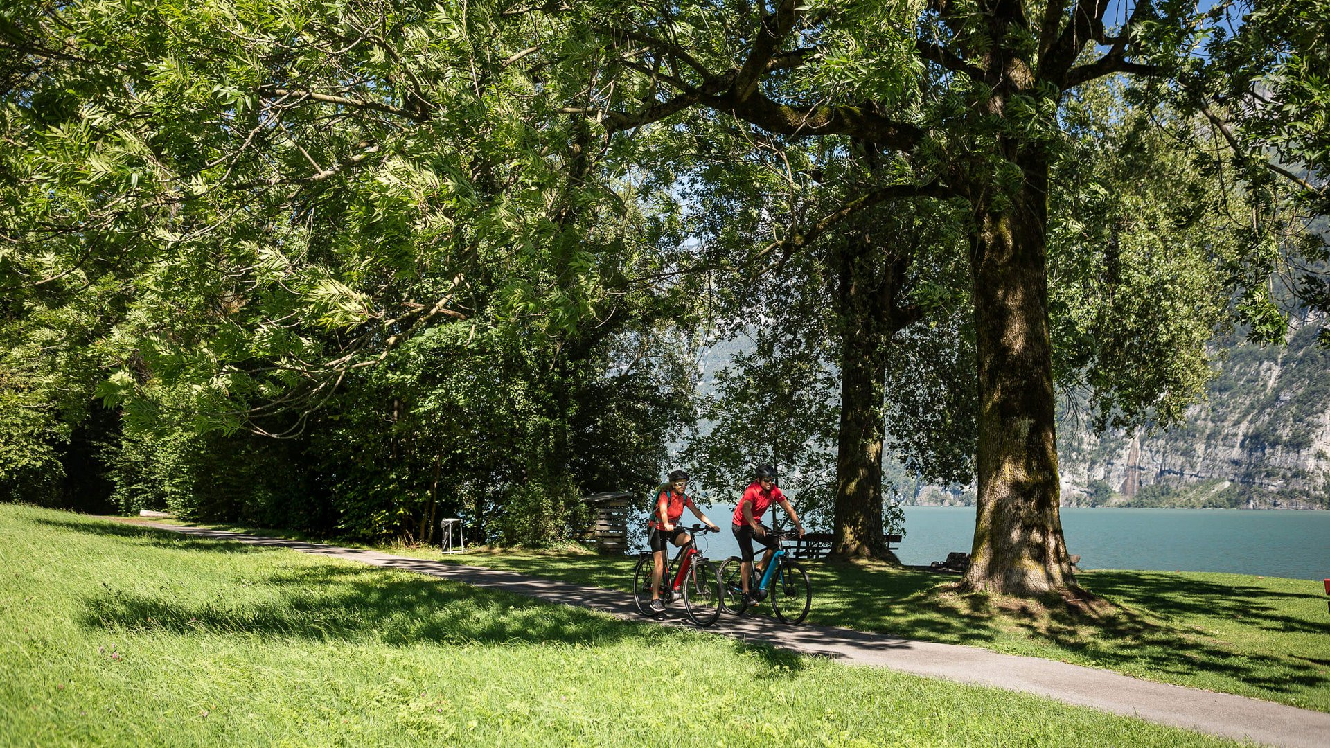 Zwei Radfahrer auf einem Weg am Seeufer unter Bäumen bei sonnigem Wetter