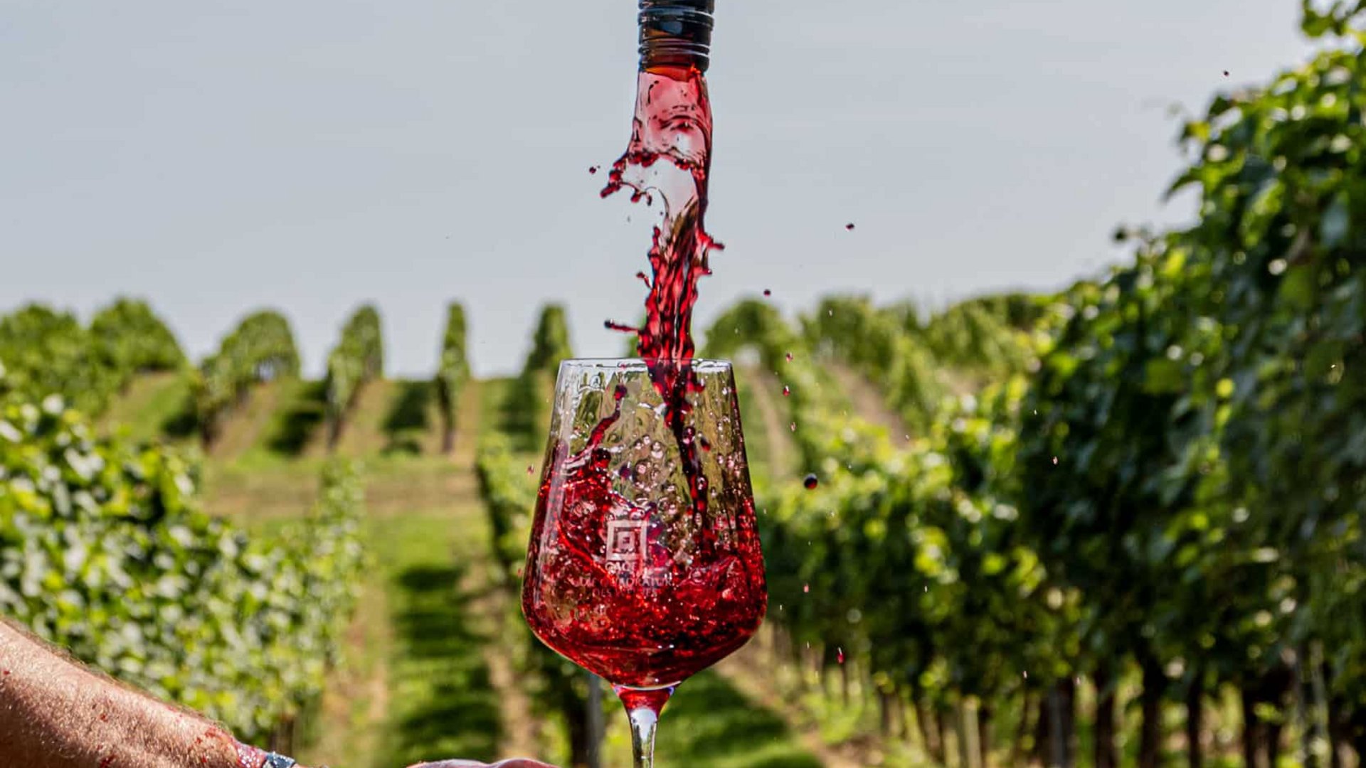 Red wine pouring from bottle into glass in a vineyard
