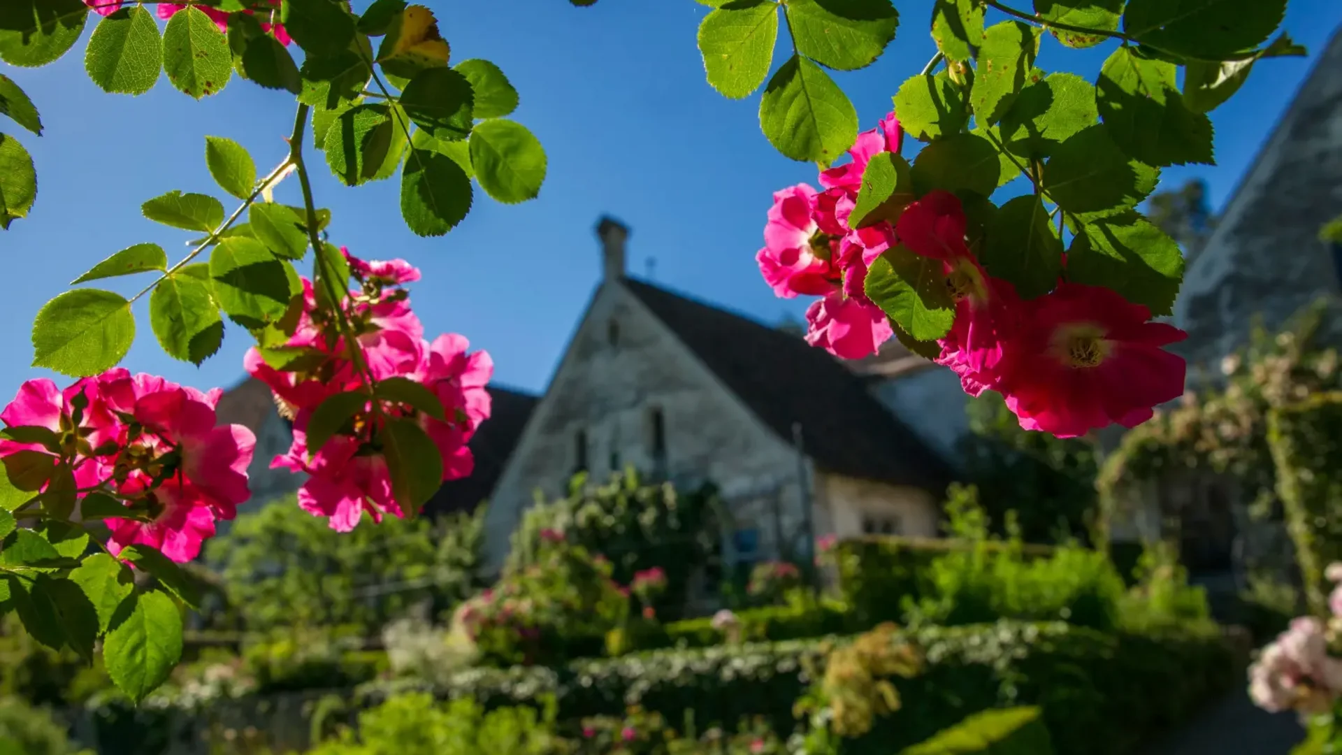 Rode bloemen voor een tuinhuis op een zonnige dag