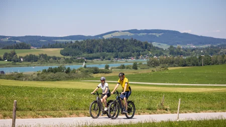 Zwei Radfahrer auf einem Weg mit grünen Feldern und See im Hintergrund