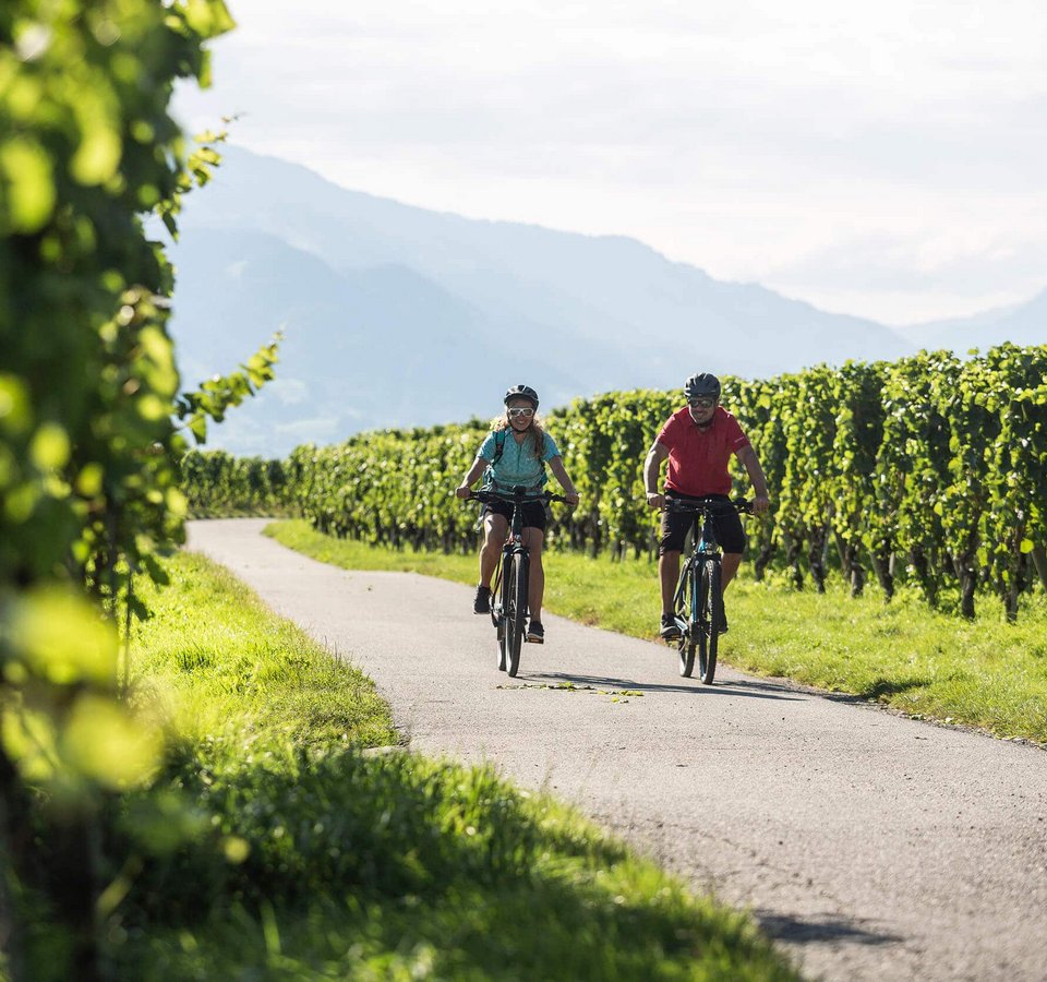 Zwei Radfahrer fahren auf einem Weg durch grüne Weinberge mit Bergen im Hintergrund