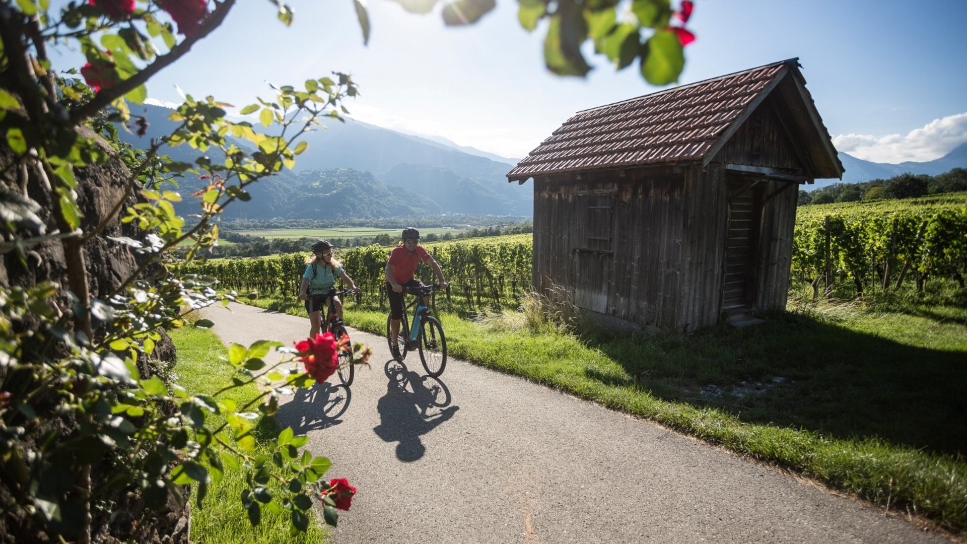 Two cyclists riding on a path next to a small shed in a sunny countryside