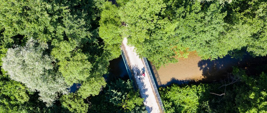 Aerial view of a footbridge over a river in a forest