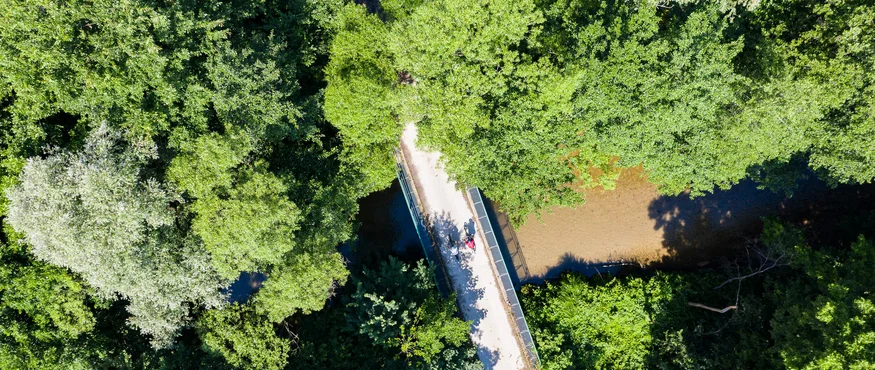 Luftaufnahme eines Fußgängerstegs über einem Fluss im Wald