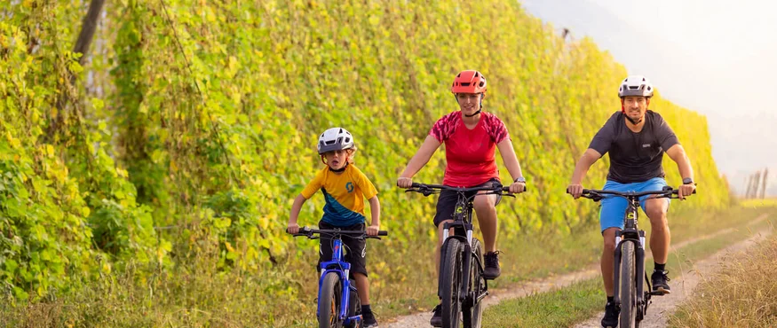 Familie fietst op een bospad omgeven door groene bomen