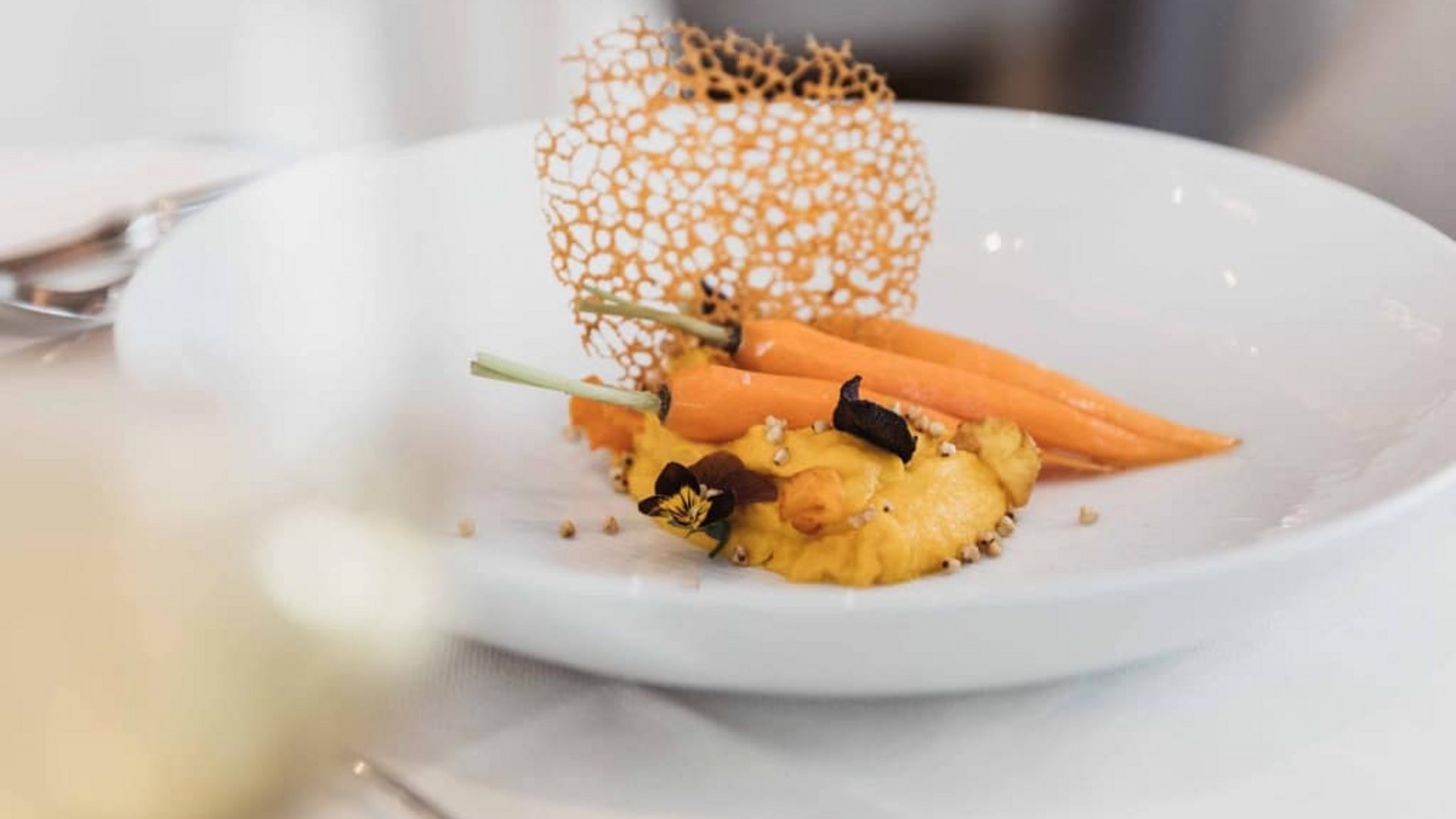Gourmet dish with carrots, cauliflower puree, and decorative edible garnish