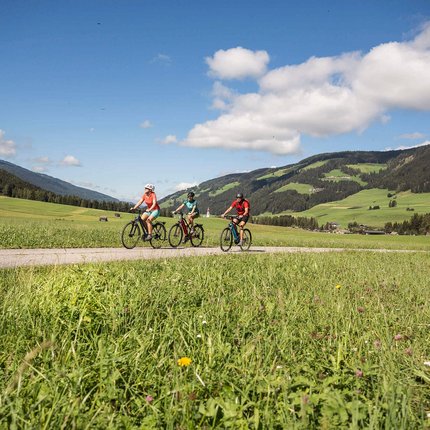 Three cyclists riding on a path through green meadows and mountains