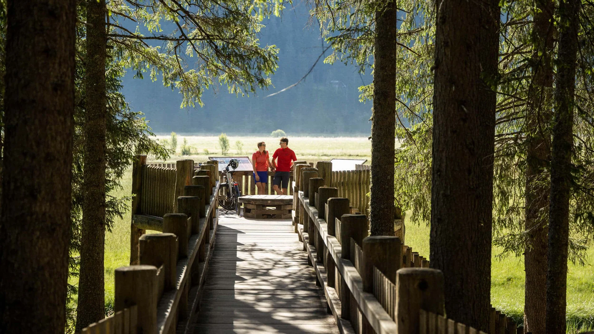 Twee fietsers op een houten wandelpad in een zonnig bos.