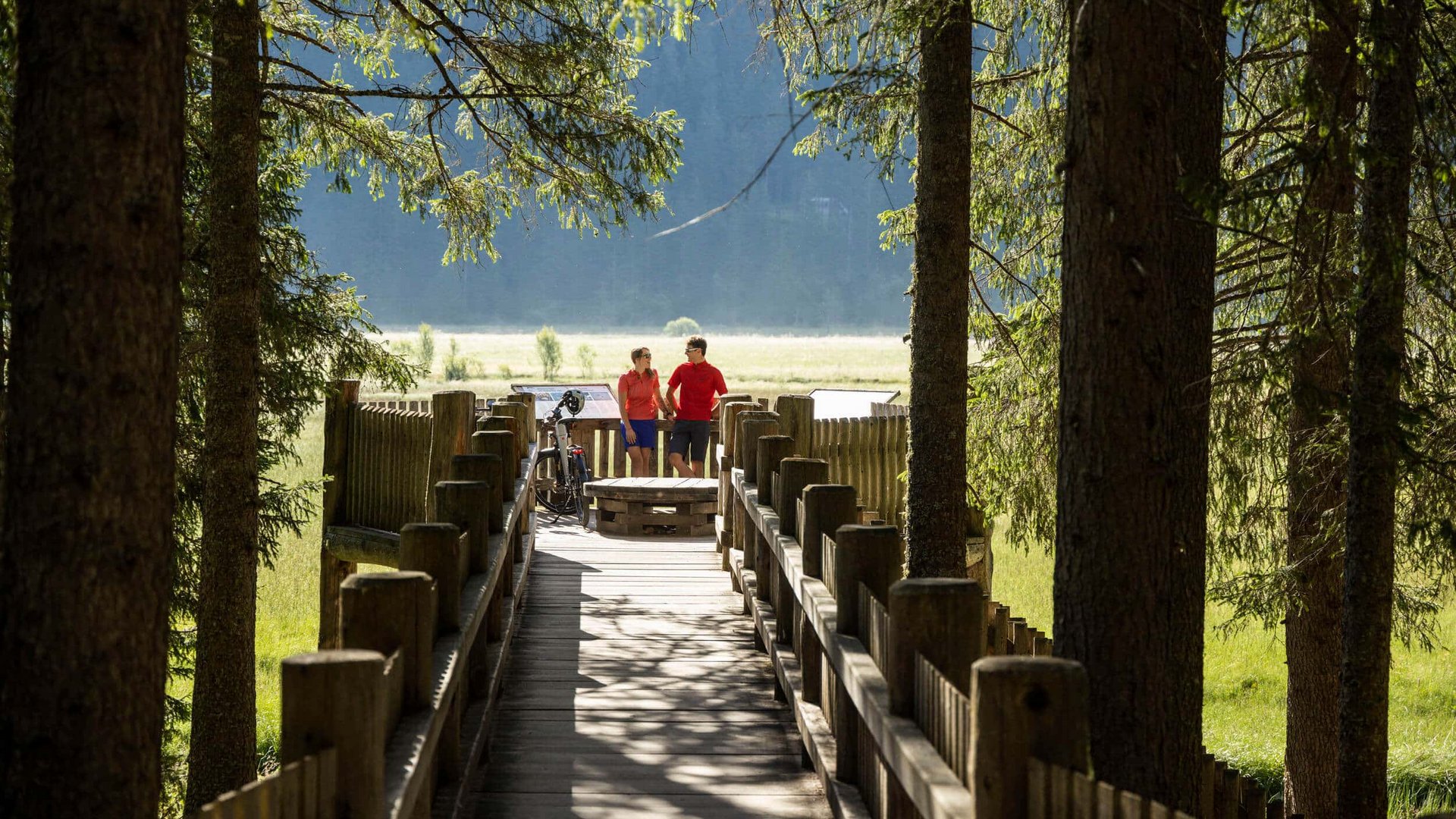 Two cyclists on a wooden boardwalk in a sunny forest.